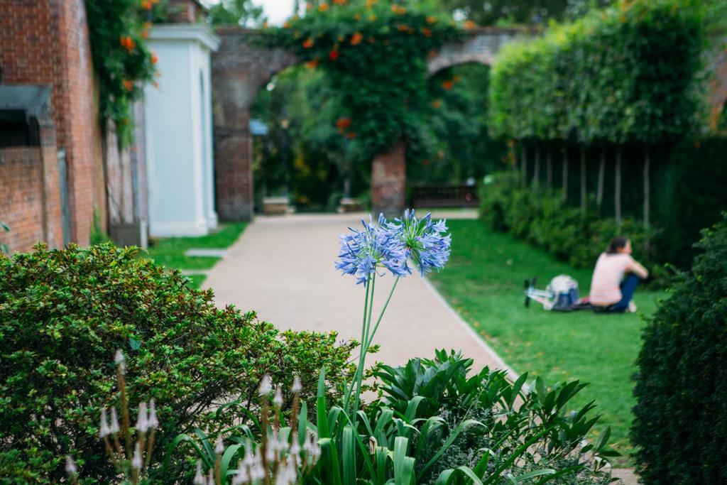 Safestay Kensington Holland Park (adults Only) Хостел